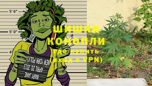 индика Нязепетровск
