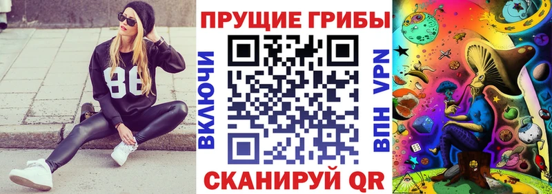 Псилоцибиновые грибы прущие грибы  Нюрба 
